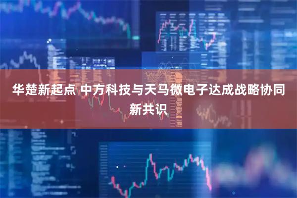 华楚新起点 中方科技与天马微电子达成战略协同新共识